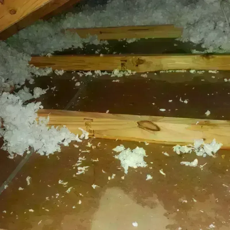 Attic Water Damage in Walnutport, PA