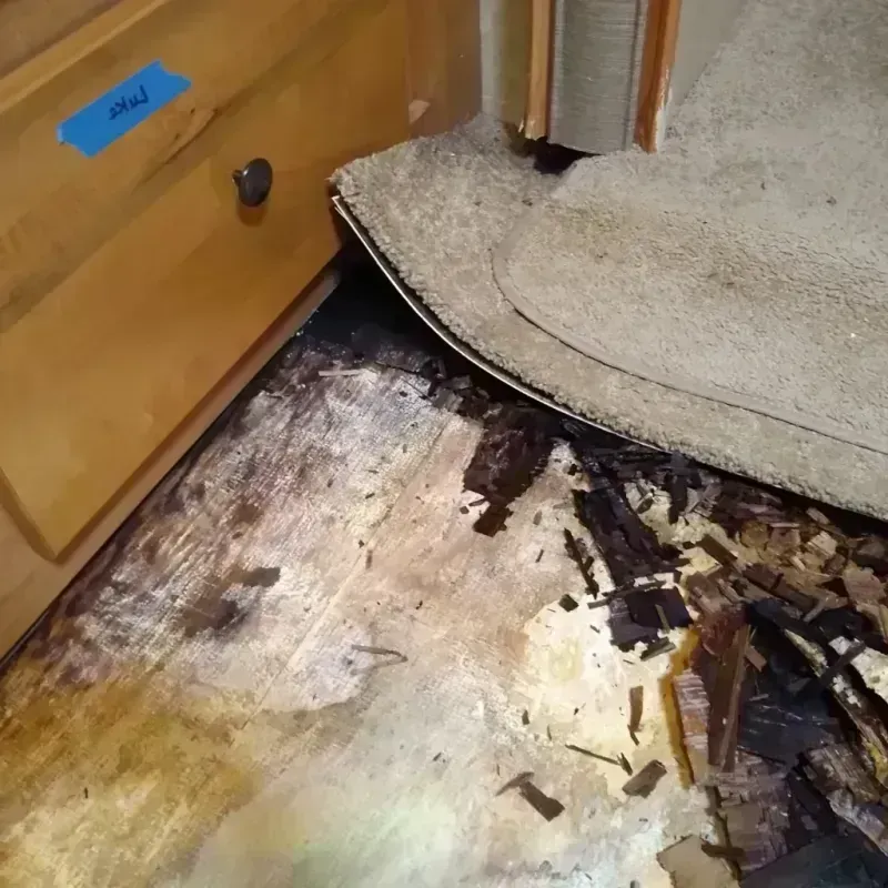 Best Wood Floor Water Damage Service in Walnutport, PA